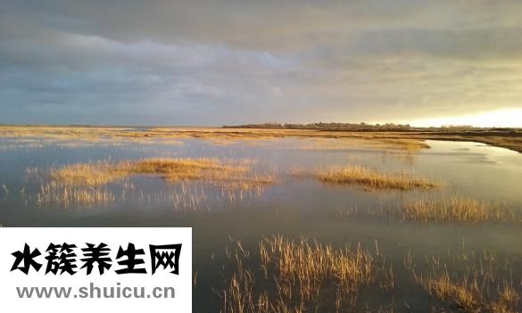 丁曙晴怎么樣