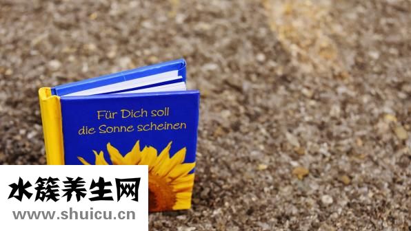 諾本怎么樣