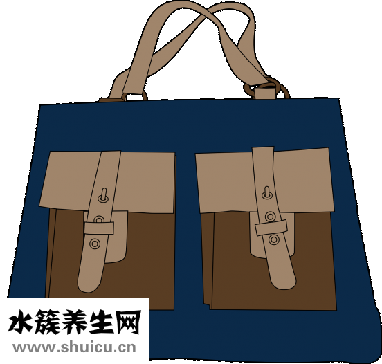 樂拖怎么樣