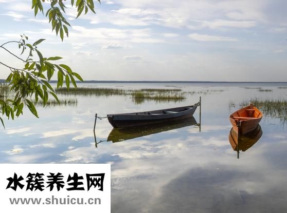 阿梵思怎么樣