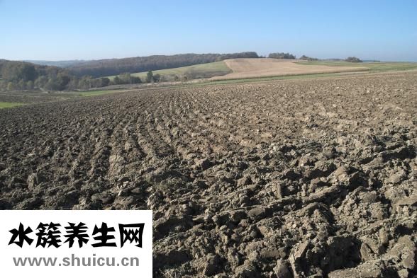 丘彥怎么樣