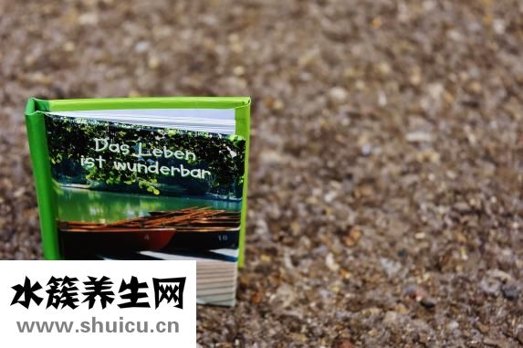 諾本怎么樣