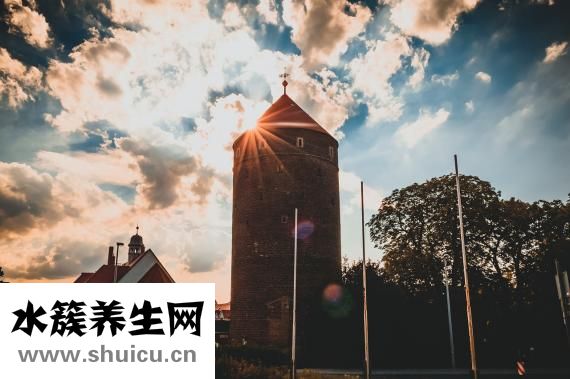 什么叫車震