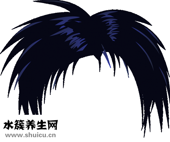 吃什么食物對頭發好