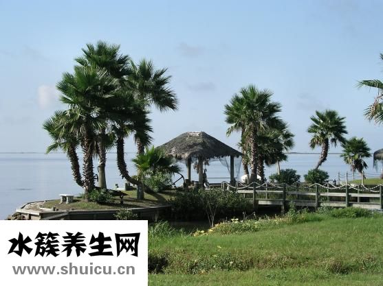 丁曙晴怎么樣