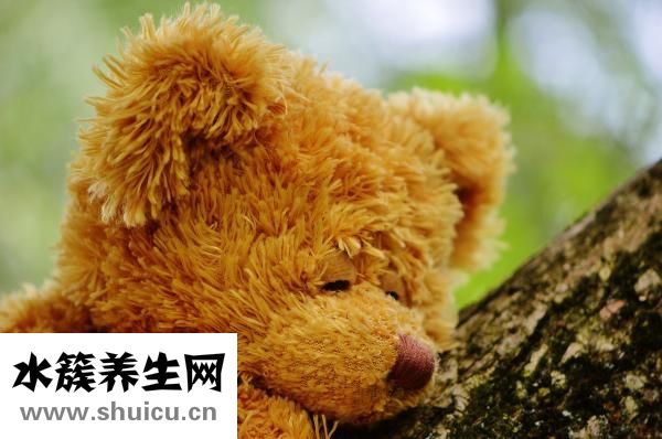 譜樂益怎么樣