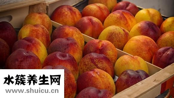 新洲人怎么樣