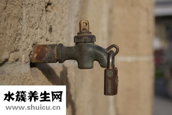 美寶琪怎么樣