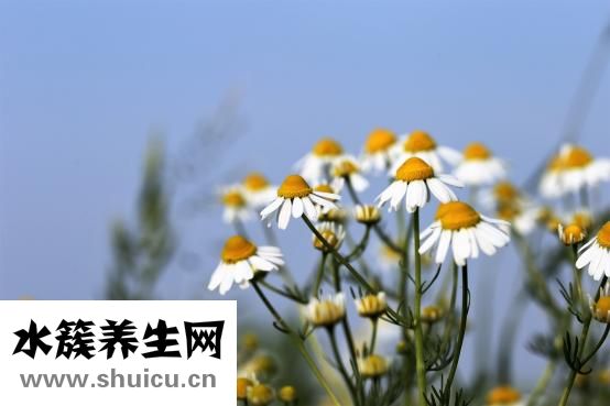 陳有信怎么樣