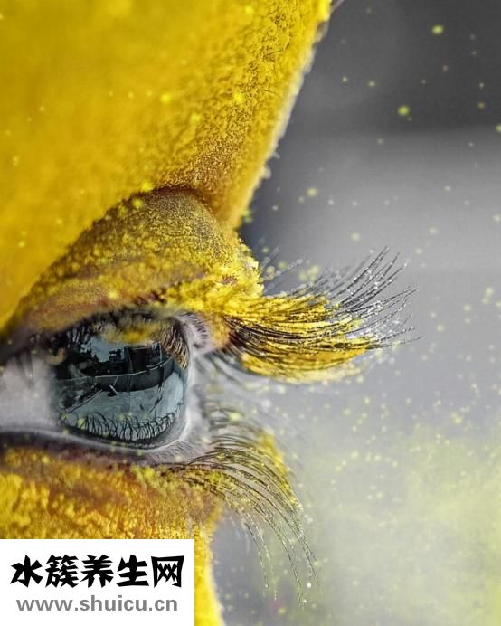 教你如何化妝