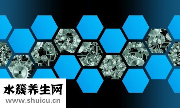 怎么抓松鼠