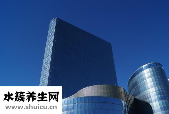 肺病吃什么好