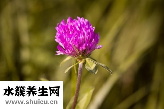 謝衛國隆鼻怎么樣