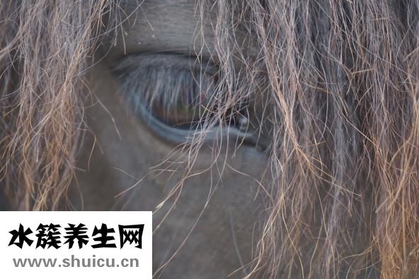 怎么去鳥巢