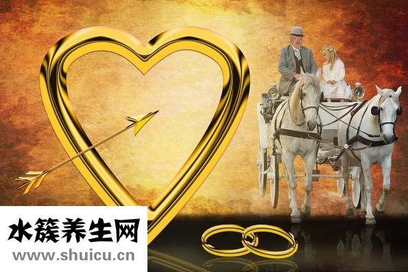 豬鼻貼怎么樣