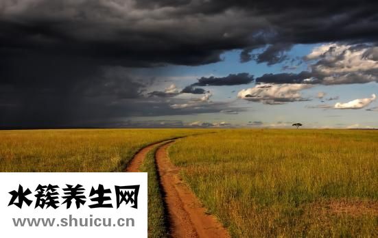 腎內科前景怎么樣