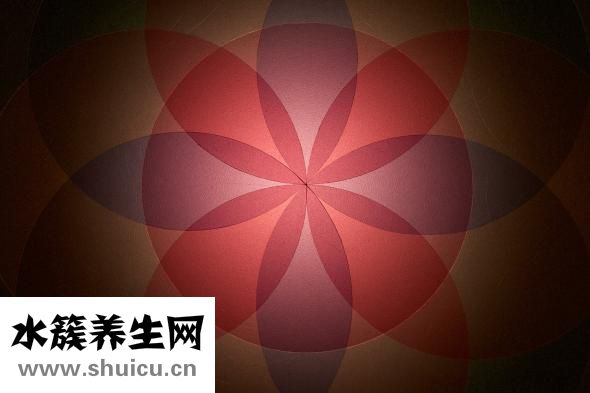 染什么顏色