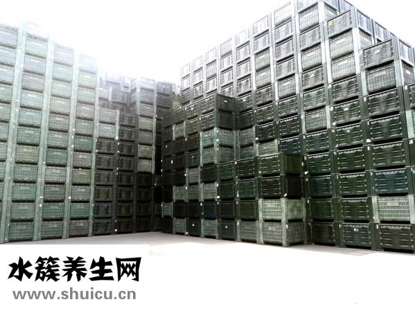 如何選枕頭