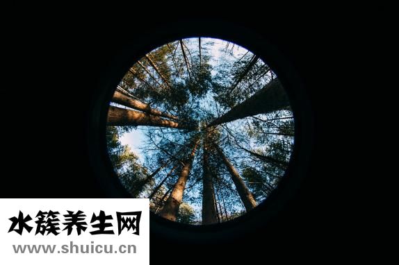 死魚眼怎么辦