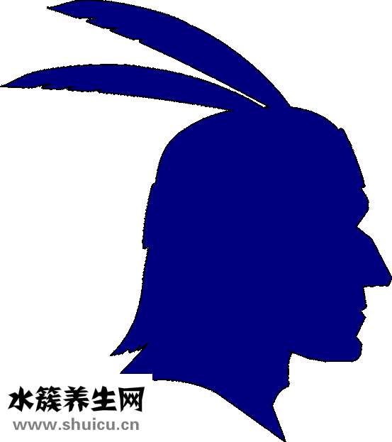 怎么去鳥巢