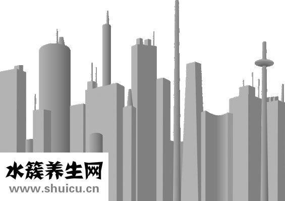 思親膚怎么樣
