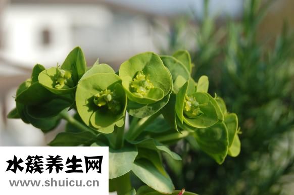 記號筆怎么洗