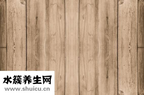 什么是木馬