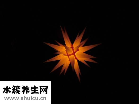 傲徒怎么樣