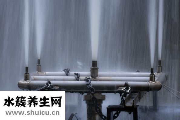 傲徒怎么樣