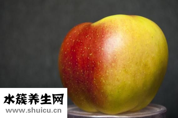 早教班怎么樣