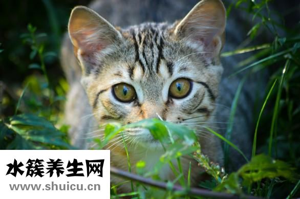 閔寶權怎么樣