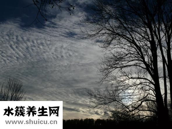 云成有機紅糖怎么樣