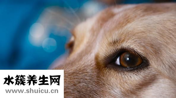 閔寶權怎么樣