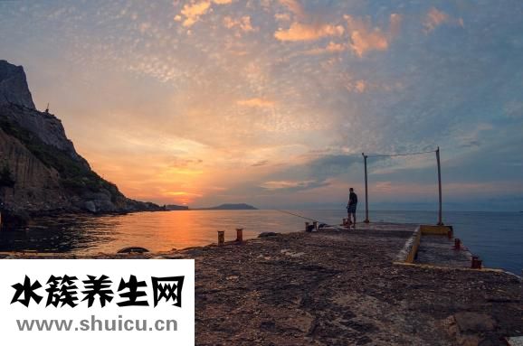 筑美養護貼怎么樣