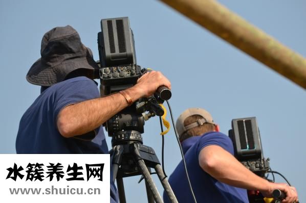 烏魚子是什么