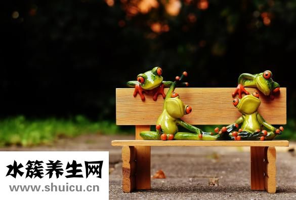 酷迪斯怎么樣