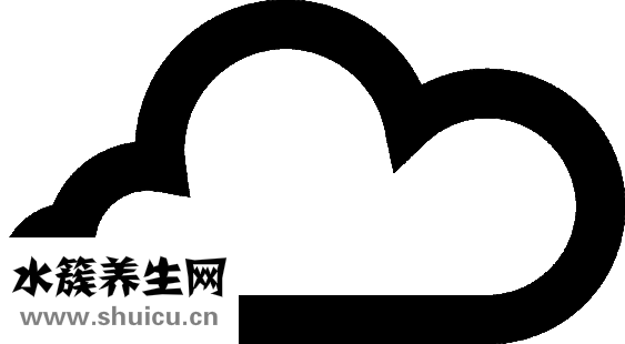 春節怎么過