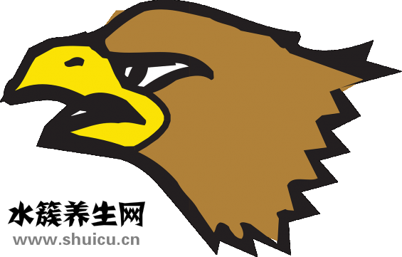 怎么減咬肌