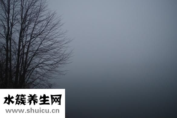 傲徒怎么樣