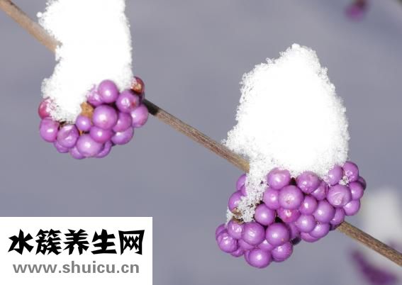 名詩媛女裝怎么樣