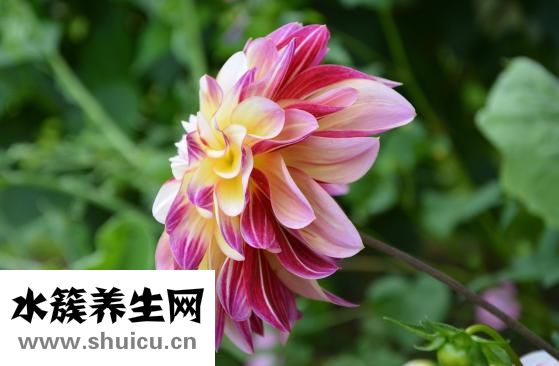 金東海集團怎么樣