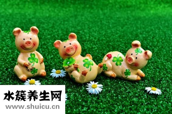 華嚴北里怎么樣