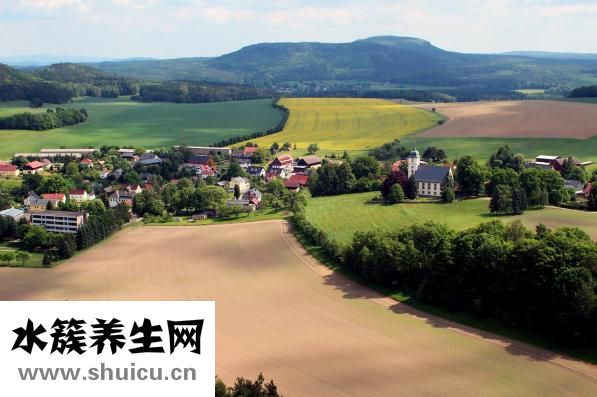 盛燦若怎么樣