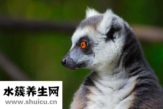 華嚴北里怎么樣