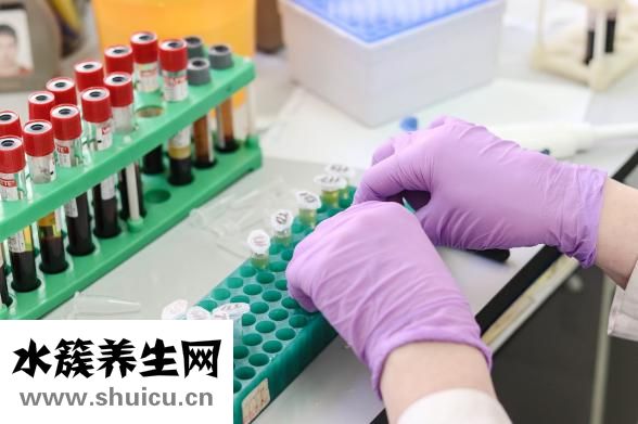 百傲鯊怎么樣