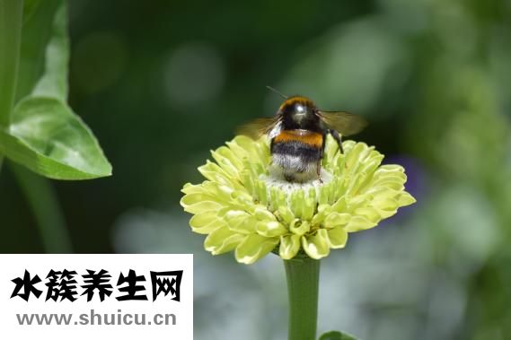 曾騏怎么樣