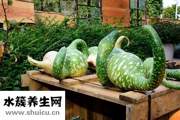 倭瓜怎么做