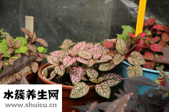 記號筆怎么洗