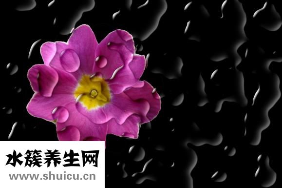 耳一號耳機怎么樣
