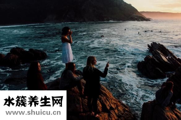朋禾怎么樣